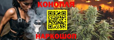 стафф Краснознаменск