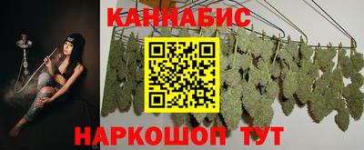 стафф Краснознаменск