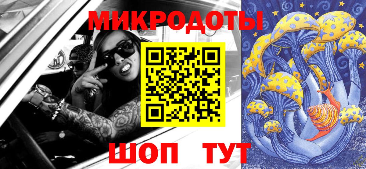 Псилоцибиновые грибы Psilocybine cubensis Касимов