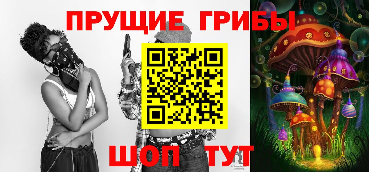 Касимов  Галлюциногенные грибы Psilocybine cubensis  Вход с VPN 