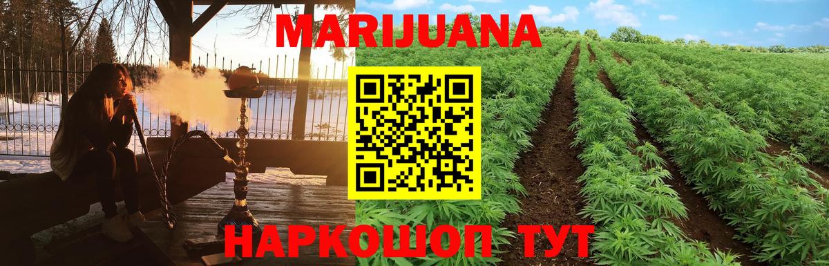 Каннабис планчик Касимов